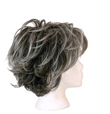 Raquel Welch Captivating Canvas Wig RL511 Sugar  Charcoal Heat Friendly Avg