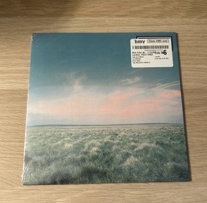 Oasis Whatever Vinyl | eBay
