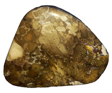 Kobrajaspis versteinerte Fossile Koralle Ozeanjaspis 0,79Kg Korallenjaspis