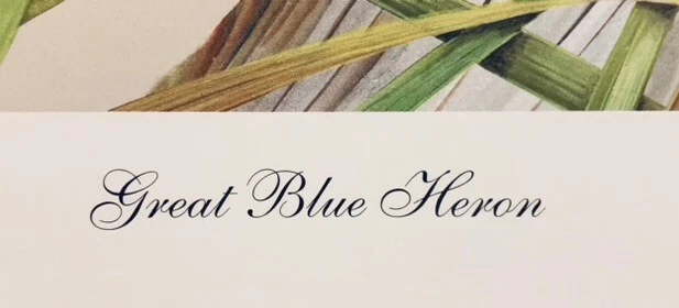 Juego de 2 impresiones artísticas LE "American Egret" y "Great Blue Heron" de Art LaMay-Firmadas Foto 3 de 4