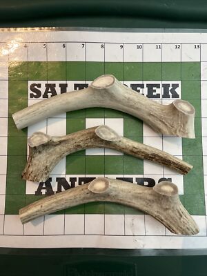 (3 PACK) LARGE Deer Antler Premium Dog Chews *Salt Creek Antlers*