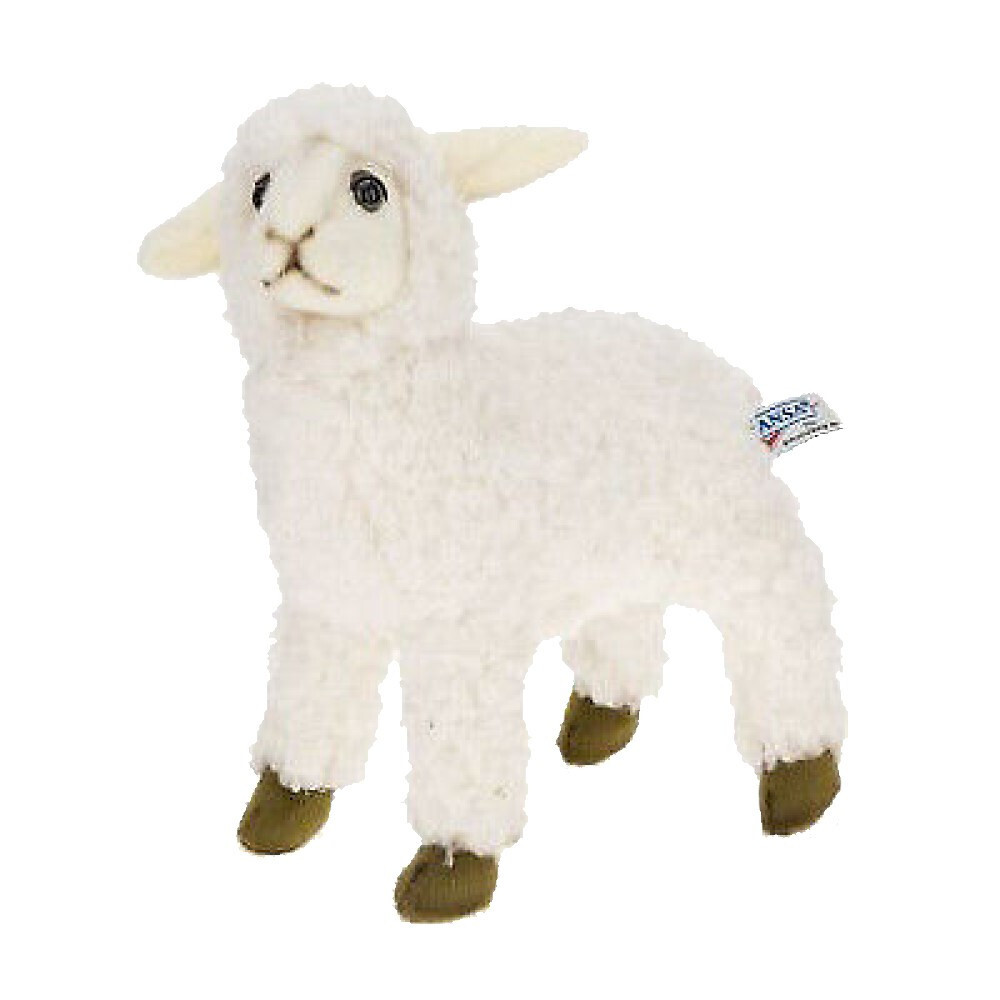 hansa sheep