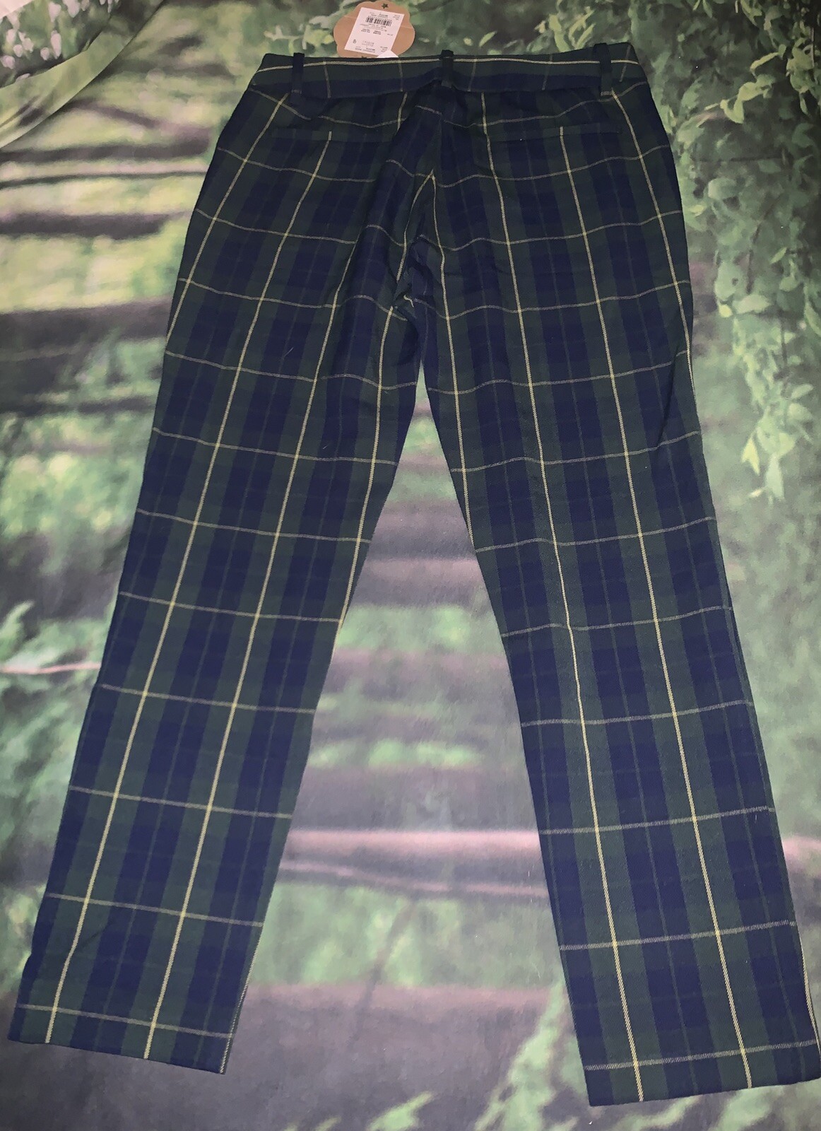 Picture 6 of 12
