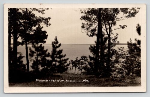 RPPC Roscommon MI Pinewoods Higgins Lake Markey Mi 1930 Postkarte abbrechen