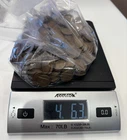 Over 4 lb. Bulk Lot of Lincoln Wheat Pennies, Unsearched