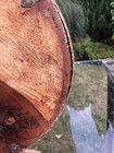 Bild 17 von 17