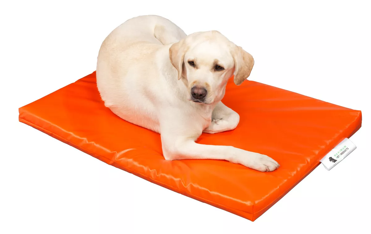 Cage bed cheap for dogs