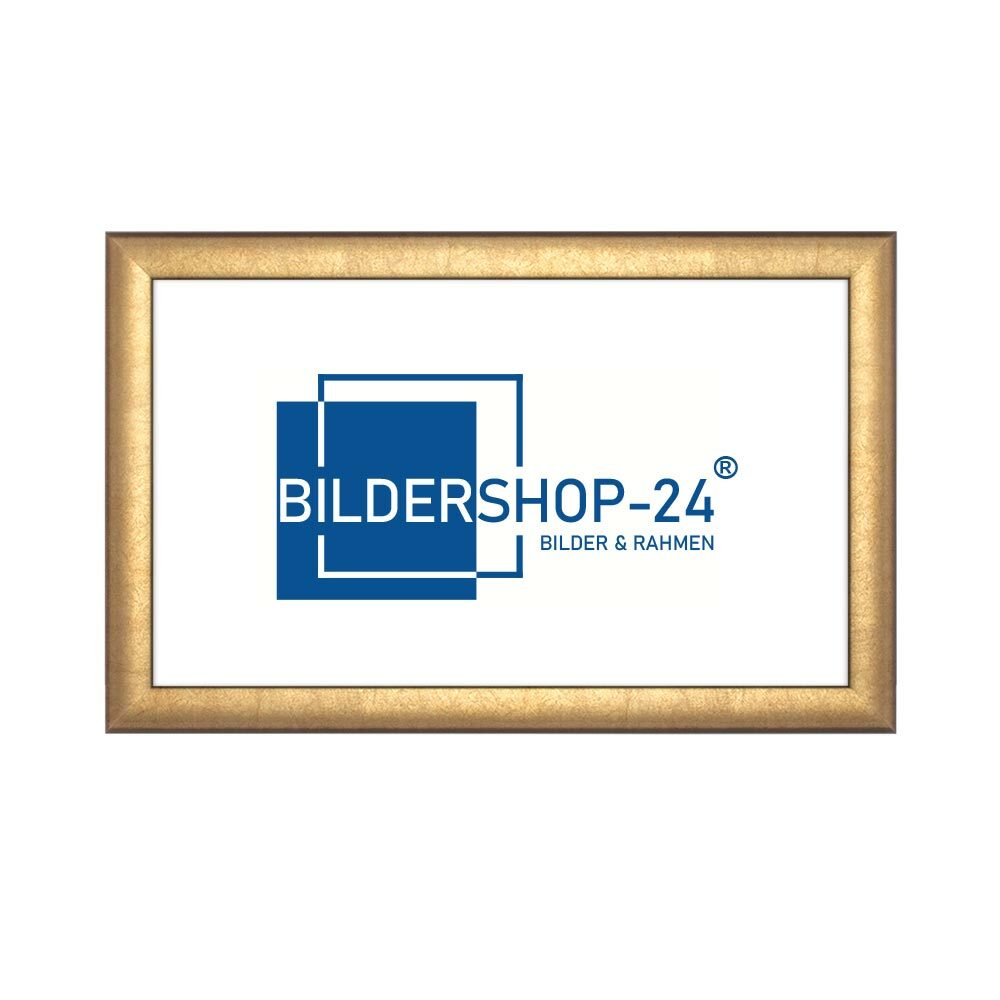 Bild 1 von 44