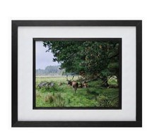 The Guardians of Gosford Forest Park Hand Framed Art Print Mourne Peak NI New