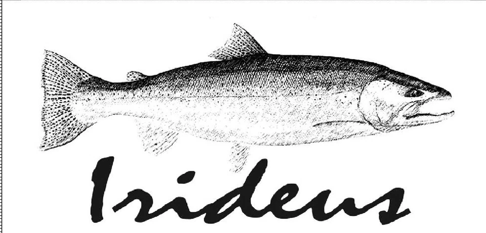 Moscas de pesca con mosca Irideus huevo libre de culpa Caddis trucha moscas río Steelhead Foto 3 de 4