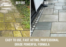 Path and Patio Cleaner Green Algae Stain Remover Heavy Duty Concentrate Make 10L