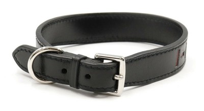 dog collar black leather