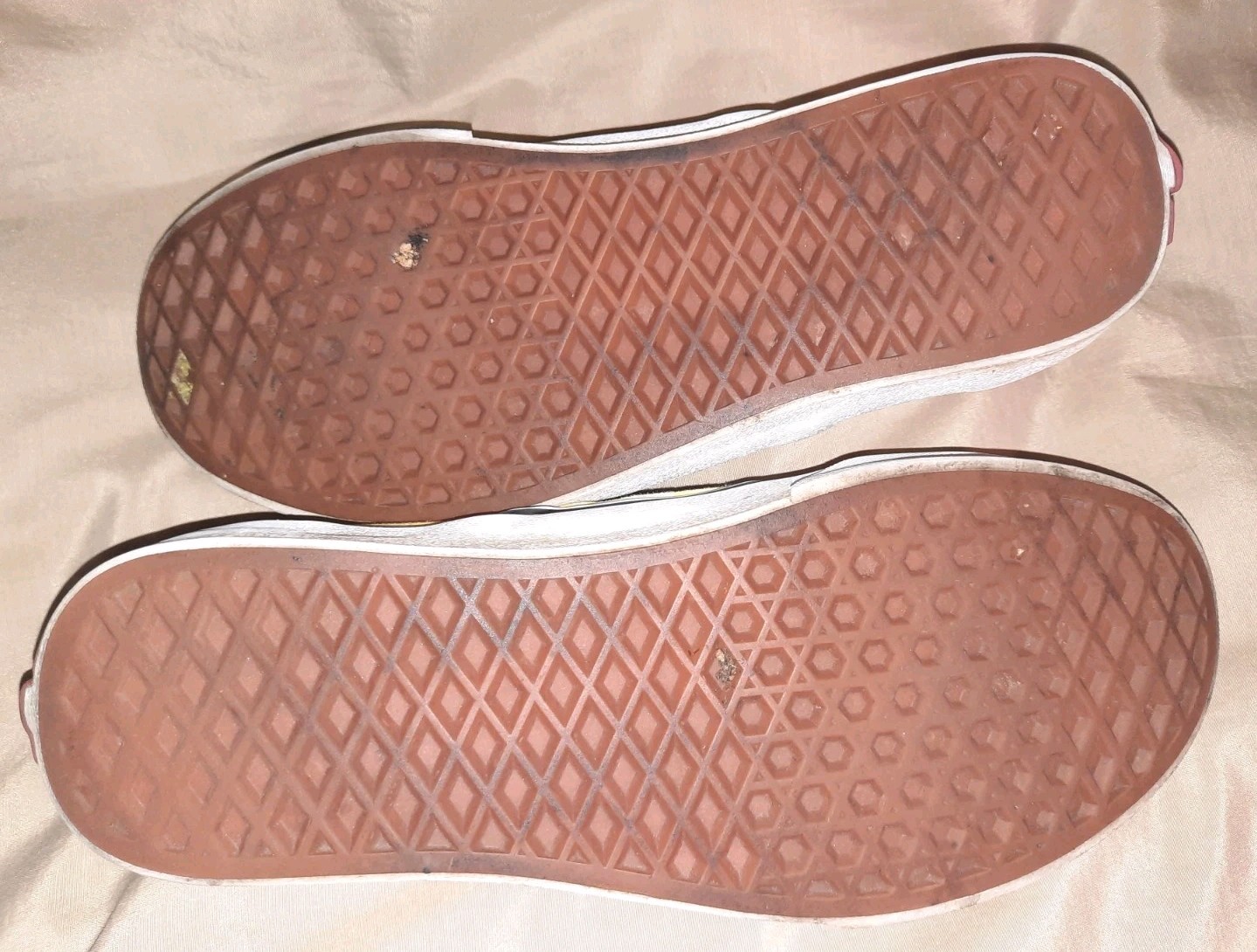 Picture 6 of 6