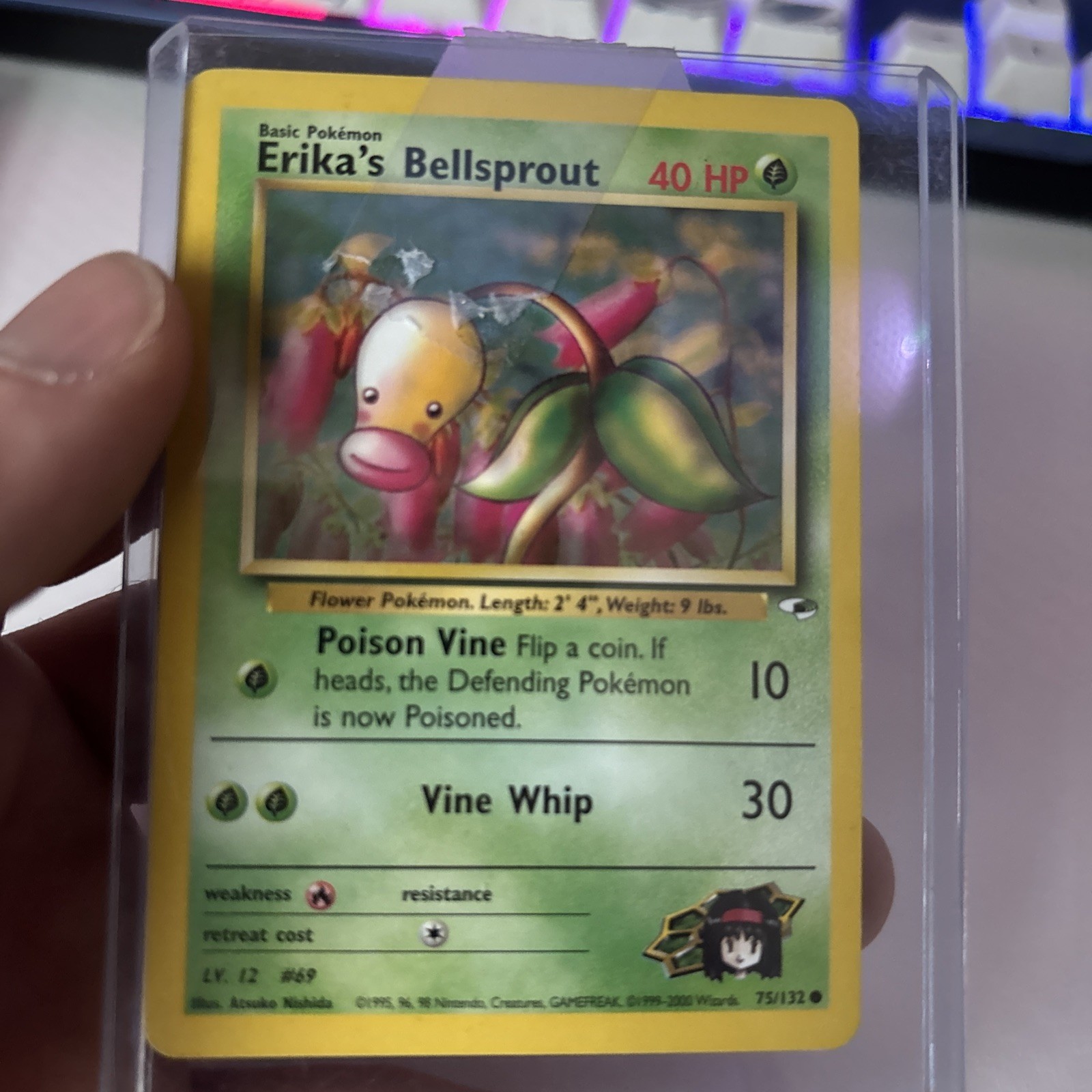 Erika’s Bellsprout - Gym Heroes 75/132 - Common - 1st Edition - MINT/NM
