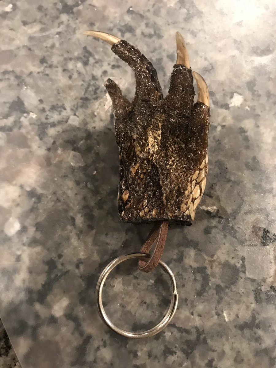 Alligator foot keychain clearance