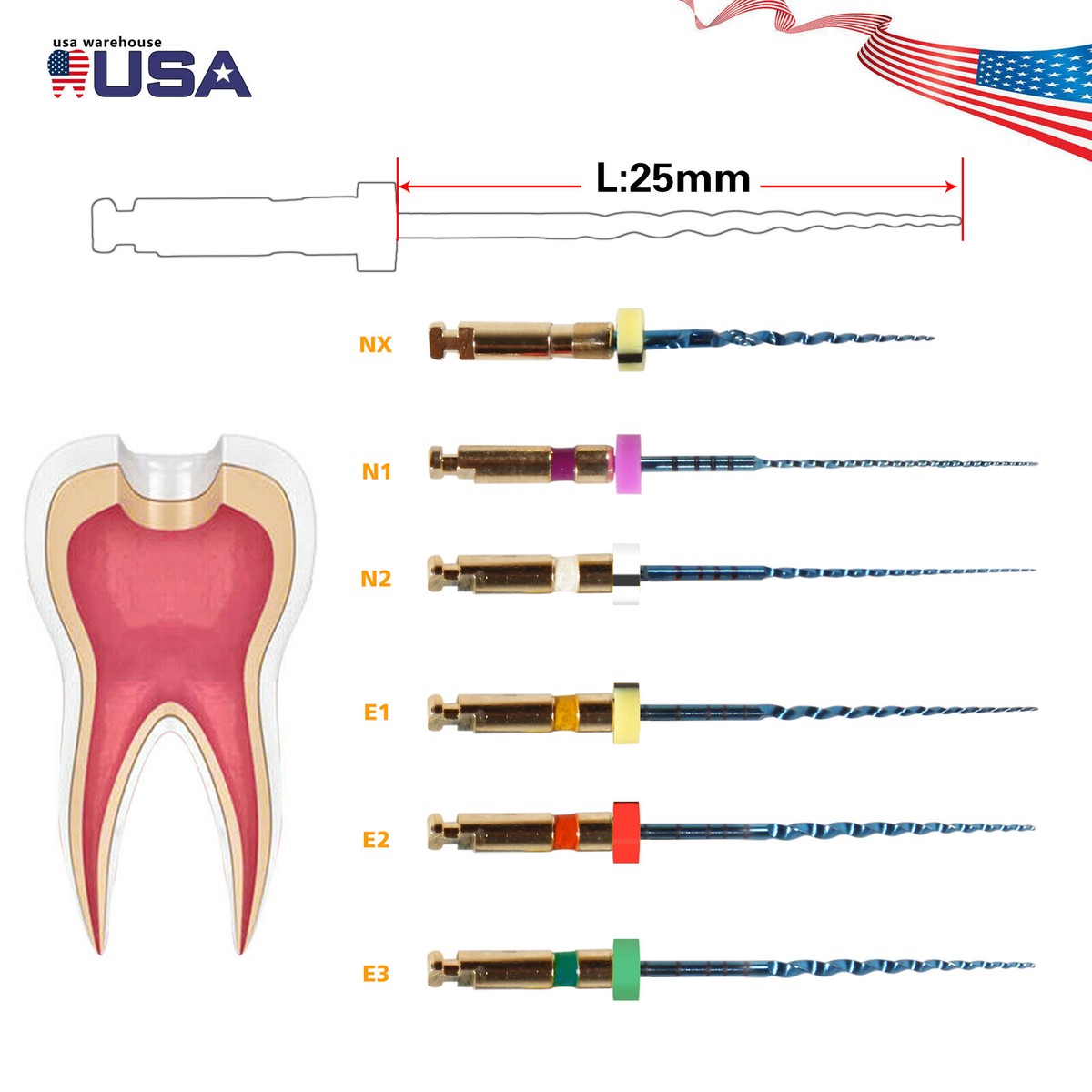 Lime Endodontiche Rotanti NITI AZDENT 25mm | Mix Motore 13#-19 | 5 Confezioni