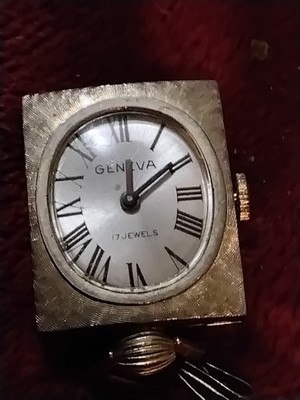 Womens Geneva17 jewels pendant watch