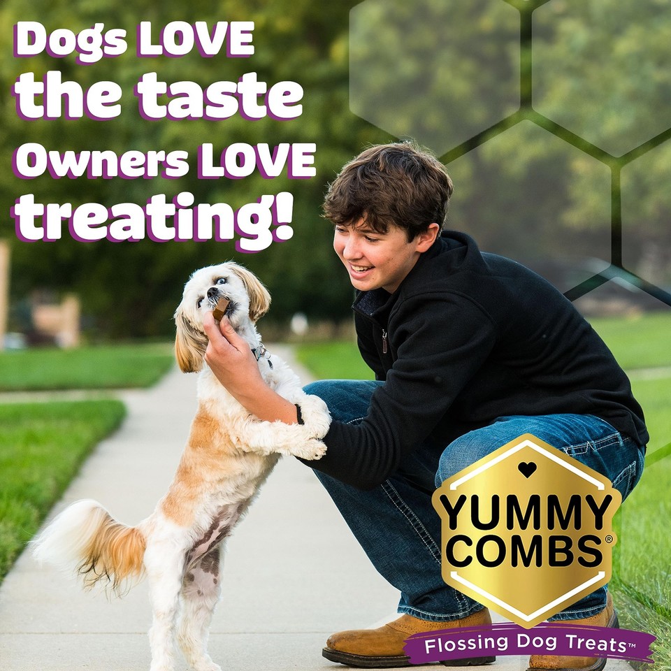 Dog dental treats vet vohc approved delicious chicken protein