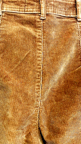 Everlane Jeans Women 6 Tan Stretch Corduroy Small Rib Cotton Straight Leg Ins 28 - Picture 11 of 12