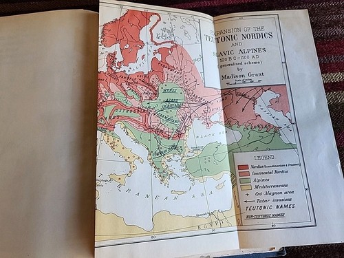 SEHR SELTEN 1916 1. Auflage DER PASS DER GROSSEN RASSE Madison Grant Buch - Bild 9 von 12
