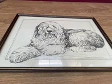 Vintage Old English sheep Framed & Signed portrait print Pollyanna Pickering COA