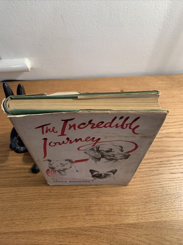 The Incredible Journey Sheila Burnford ills by Carl Burger - UK 1st 1961 with Dj - Picture 12 of 12