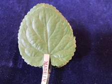Vintage Millinery Flower Leaf 24pc Bunch 2" Green Heart Shaped serrated edge B94
