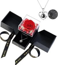 Preserved Red Rose Gift Box & 100 Languages Necklace Christmas Gift for Her
