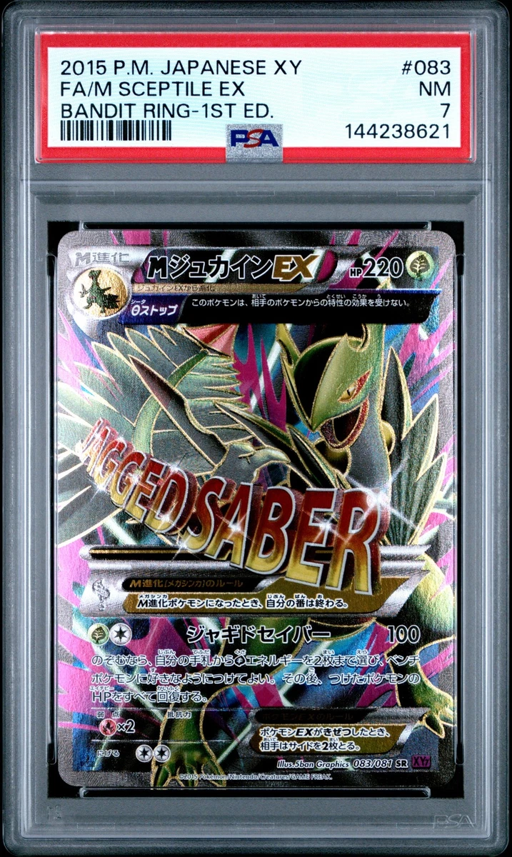 Pokémon TCG XY Japanese Individual Collectible Card Game Cards for