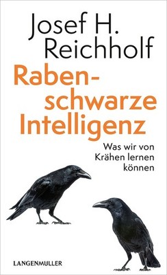 Rabenschwarze Intelligenz Was wir von Krähen lernen können