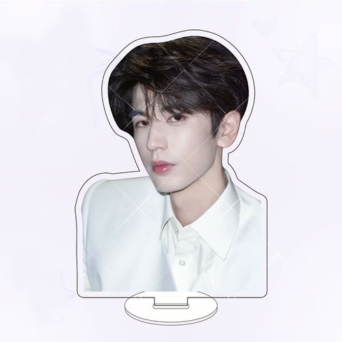 Zhang Linghe 张凌赫 supporto acrilico 15 cm collezione - Foto 7 di 23
