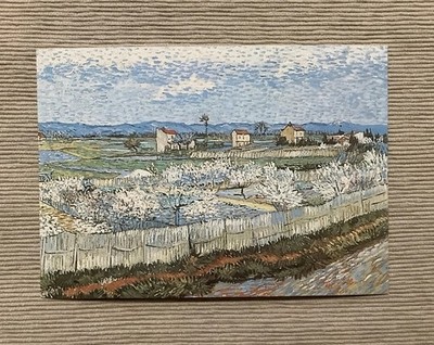 1 Postkarte, Vincent van Gogh, Ansicht der Ebene La Crau/ Armes, Frühling, Neu