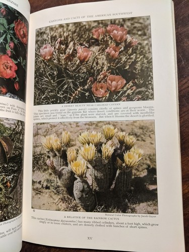 National Geographic Magazine September 1925, Pueblo Bonito, Schluchten, Fledermäuse - Bild 5 von 8