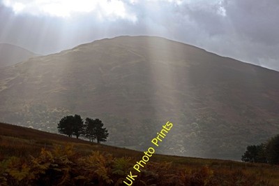Foto A2 Hang mit Bäumen Ardveich Wald Ben Our, jenseits von Loch Earn, in c2014