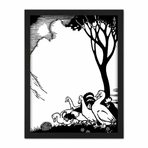 Illustration Art Birds Art