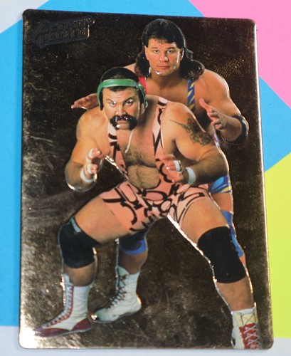 1994 Steiner Brothers #41