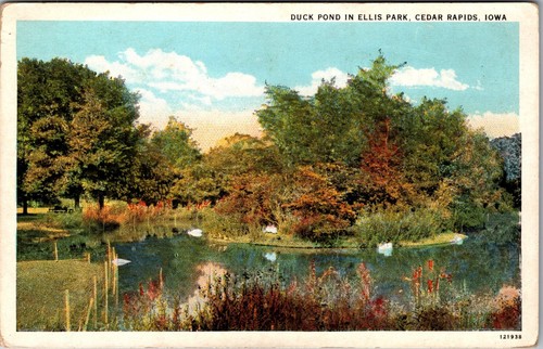 1915-30 Postcard Duck Pond In Ellis Park Cedar Rapids Iowa IA