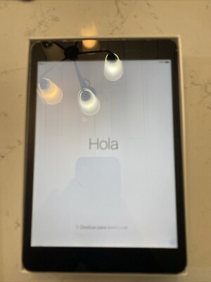 Apple iPad Mini, 16GB, Wi-Fi, 7.9in - Space Gray MF432LL/A -  no cord/char