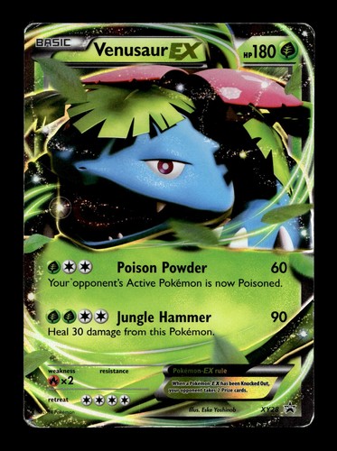 Venusaur EX - XY28 XY Promos #XY28 (2014) Promo Holo HP Pokemon