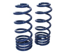 Ridetech Coil Spring Lowering Kit - 1964-1967 Chevelle Cutlass Etc. Rear Dual