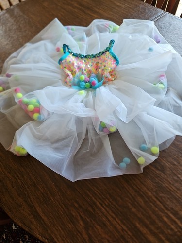 A Wish Come True Toddler Girl Ballet Pagent Dress Dance Sz Small Clean!