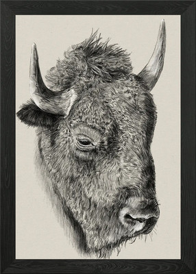 Detailed Bison Head Drawing Framed Wall Art Poster Canvas Print Picture