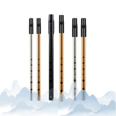 Musikinstrument Blechflöte Dauerhafte Verwendung C D BB -Schlüssel Loch