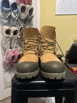 Timbaland Bee Line Limited Edition
