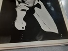 Picture 8 of 8