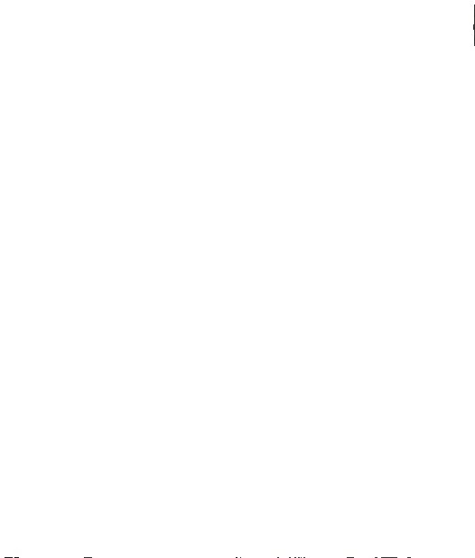 Mint No Gum/MNG Irish Stamps