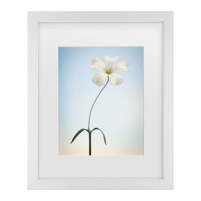 Framed Wall Art - Lotte Gr nkj r 'Tiny White' Wall Decor with Matted Frame