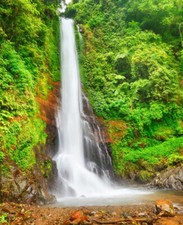Wandbild: Schöner Wasserfall im Regenwald Bali (14934479)