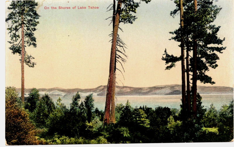 ON THE SHORES OF LAKE TAHOE. CALIFORNIA. CA. NEVADA. NV. ARTISTIC VIEW.