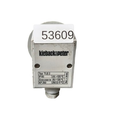 Kieback & Peter TLS 2 Temperature Sensor Probe KP 250 IP65 TLS2